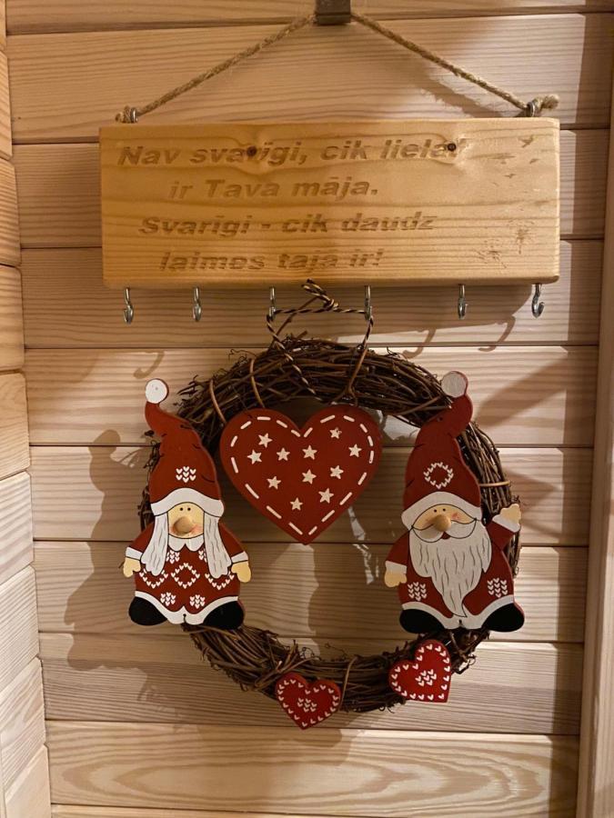 הוילה Tiny House Cēsis מראה חיצוני תמונה
