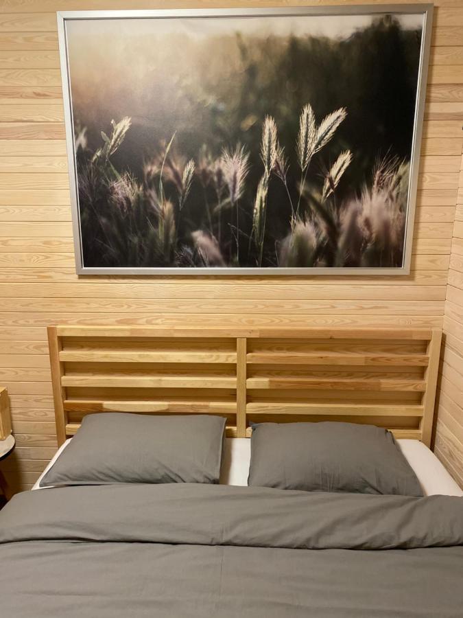 הוילה Tiny House Cēsis מראה חיצוני תמונה