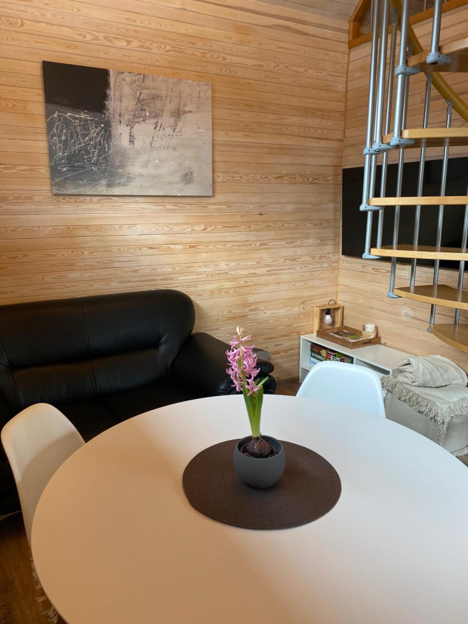 הוילה Tiny House Cēsis מראה חיצוני תמונה